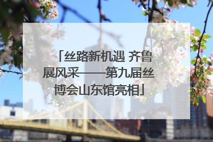 丝路新机遇 齐鲁展风采——第九届丝博会山东馆亮相
