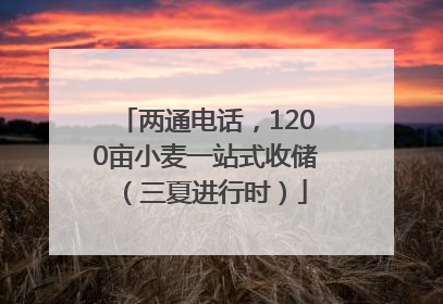 两通电话，1200亩小麦一站式收储（三夏进行时）