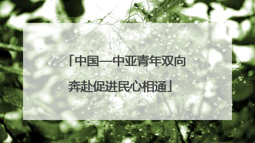 中国—中亚青年双向奔赴促进民心相通