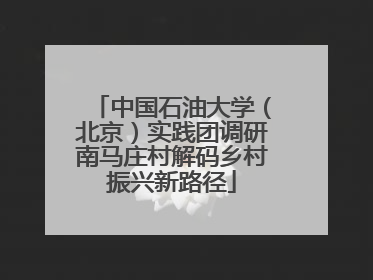 中国石油大学（北京）实践团调研南马庄村解码乡村振兴新路径
