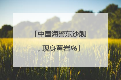 中国海警东沙舰，现身黄岩岛