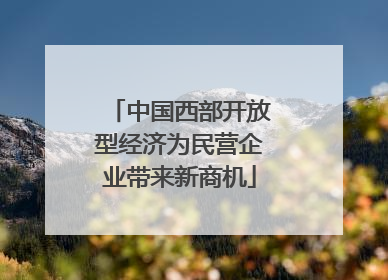 中国西部开放型经济为民营企业带来新商机