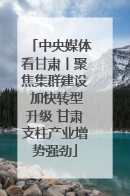 中央媒体看甘肃丨聚焦集群建设 加快转型升级 甘肃支柱产业增势强劲