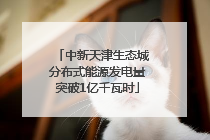 中新天津生态城分布式能源发电量突破1亿千瓦时