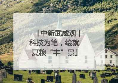 中新武威观｜科技为笔，绘就夏粮“丰”景