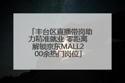 丰台区直播带岗助力精准就业 零距离解锁京东MALL200余热门岗位