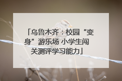 乌鲁木齐：校园“变身”游乐场 小学生闯关测评学习能力