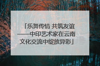 乐舞传情 共筑友谊——中印艺术家在云南文化交流中绽放异彩