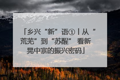 乡兴“新”语①丨从“荒芜”到“苏醒” 看新晃中寨的振兴密码