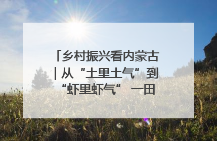 乡村振兴看内蒙古｜从“土里土气”到“虾里虾气” 一田双收模式火出圈