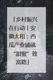 乡村振兴在行动丨安徽太和：西瓜产业铺就“甜蜜”致富路