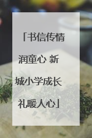 书信传情润童心 新城小学成长礼暖人心