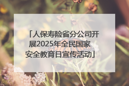人保寿险省分公司开展2025年全民国家安全教育日宣传活动