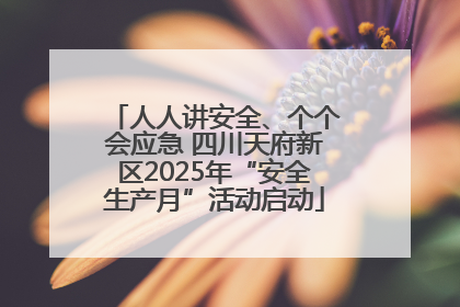 人人讲安全、个个会应急 四川天府新区2025年“安全生产月”活动启动