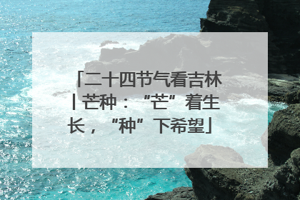 二十四节气看吉林丨芒种：“芒”着生长，“种”下希望