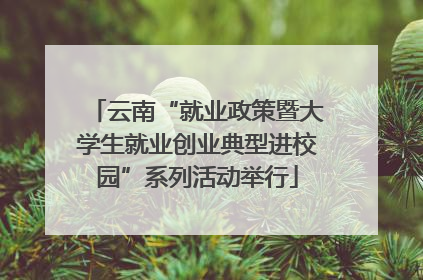 云南“就业政策暨大学生就业创业典型进校园”系列活动举行