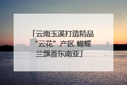 云南玉溪打造精品“云花”产区 蝴蝶兰飘香东南亚