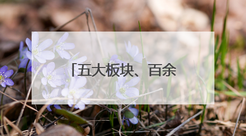 五大板块、百余项活动！端午假期，沈阳上线夏日专属新玩法