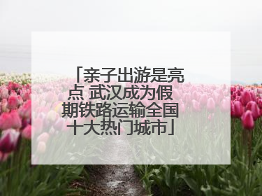 亲子出游是亮点 武汉成为假期铁路运输全国十大热门城市