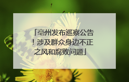 亳州发布巡察公告！涉及群众身边不正之风和腐败问题