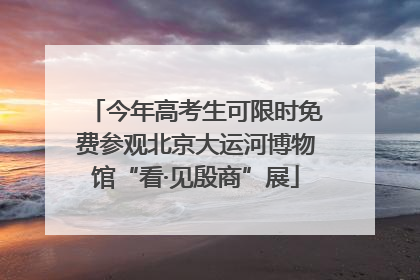 今年高考生可限时免费参观北京大运河博物馆“看·见殷商”展