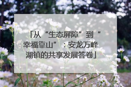 从“生态屏障”到“幸福靠山”：安龙万峰湖镇的共享发展答卷