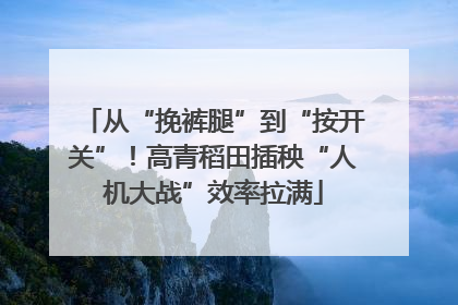从“挽裤腿”到“按开关”！高青稻田插秧“人机大战”效率拉满