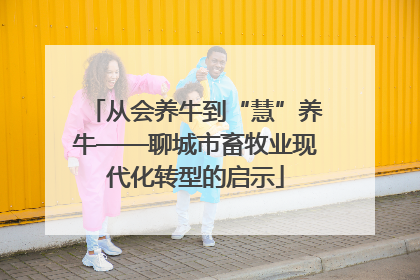 从会养牛到“慧”养牛——聊城市畜牧业现代化转型的启示