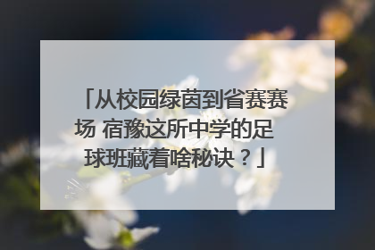 从校园绿茵到省赛赛场 宿豫这所中学的足球班藏着啥秘诀？