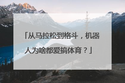 从马拉松到格斗，机器人为啥都爱搞体育？