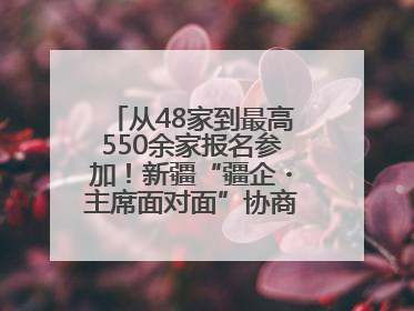 从48家到最高550余家报名参加！新疆“疆企・主席面对面”协商座谈会为何如此受欢迎？