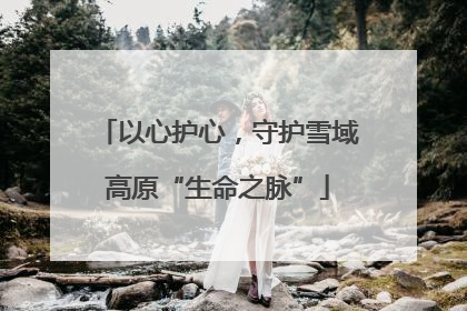 以心护心，守护雪域高原“生命之脉”
