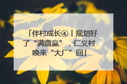 伴村成长④丨规划好了“满盘赢”，仁义村唤来“大厂”回