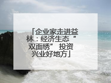 企业家走进益林：经济生态“双面绣” 投资兴业好地方