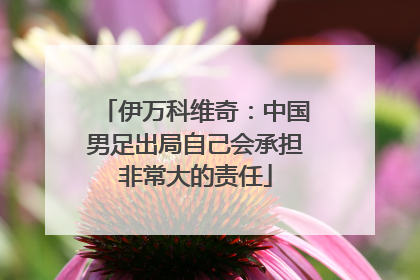 伊万科维奇：中国男足出局自己会承担非常大的责任