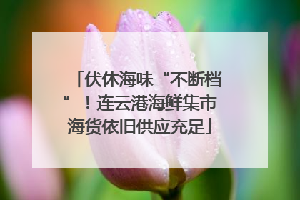 伏休海味“不断档”！连云港海鲜集市海货依旧供应充足