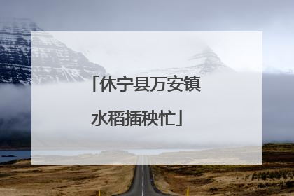 休宁县万安镇水稻插秧忙