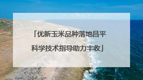 优新玉米品种落地昌平 科学技术指导助力丰收