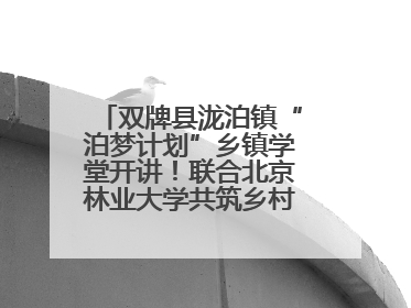 双牌县泷泊镇“泊梦计划”乡镇学堂开讲！联合北京林业大学共筑乡村教育新未来