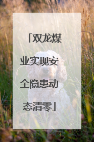 双龙煤业实现安全隐患动态清零
