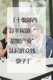 十堰郧西县羊尾镇“甜蜜产业”鼓起群众钱袋子