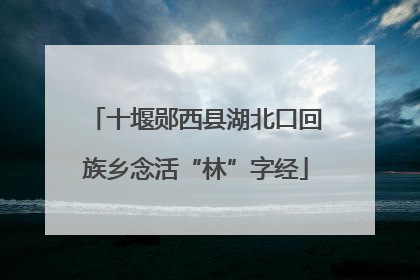 十堰郧西县湖北口回族乡念活“林”字经