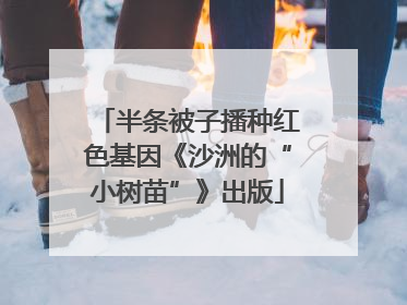 半条被子播种红色基因《沙洲的“小树苗”》出版