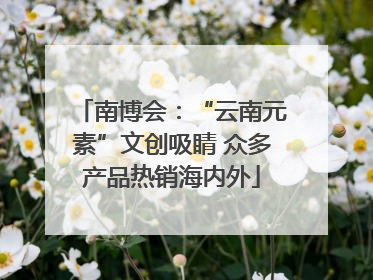 南博会：“云南元素”文创吸睛 众多产品热销海内外