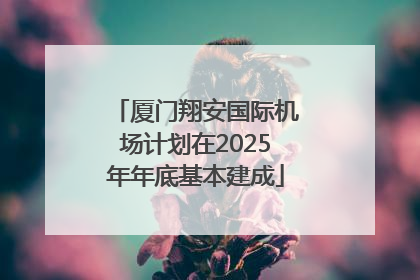 厦门翔安国际机场计划在2025年年底基本建成