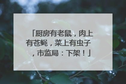 厨房有老鼠，肉上有苍蝇，菜上有虫子，市监局：下架！