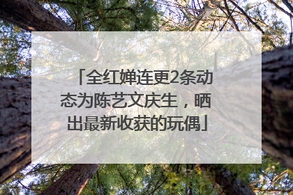 全红婵连更2条动态为陈艺文庆生，晒出最新收获的玩偶