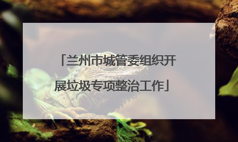 兰州市城管委组织开展垃圾专项整治工作