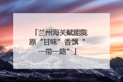 兰州海关赋能陇原“甘味”香飘“一带一路”