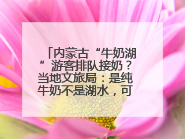 内蒙古“牛奶湖”游客排队接奶？当地文旅局：是纯牛奶不是湖水，可放心喝